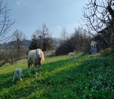 Piazzo Casa | B&B Naturin - Eco Farm