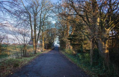 Blackburn Cama Y Desayuno | B&B on Beautiful Organic Homestead, Edinburgh