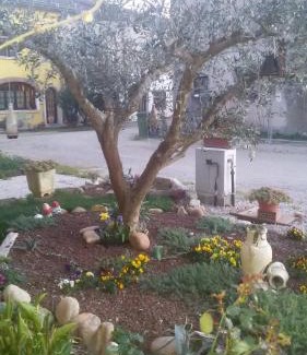 Valeggio sul Mincio Cama Y Desayuno | B&B Peschi in Fiore