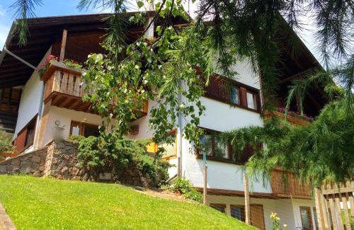 Castello-Molina di Fiemme Cama Y Desayuno | B&B Pichler Casa