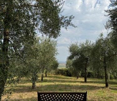Montalcino Casa | B&B Podere Cottimellino - Montalcino - Val d'Orcia