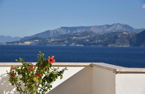 Marina Grande Cama Y Desayuno | B&B Punta Vivara