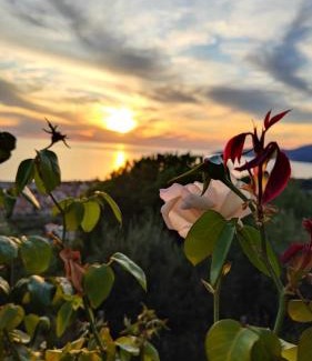 Marina di Ascea Cama Y Desayuno | B&B Relais da Clorinda