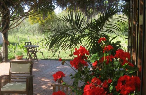 Cabras Cama Y Desayuno | B&B Sa Ingia