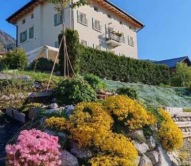 Domegge di Cadore Cama Y Desayuno | B&B SognoInCadore