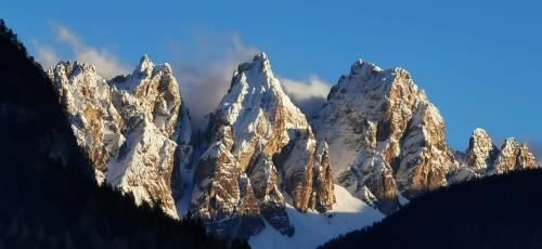 Domegge di Cadore Cama Y Desayuno | B&B SognoInCadore