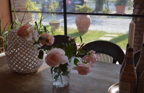 Santarcangelo di Romagna Cama Y Desayuno | B&B Tenuta Zavaia