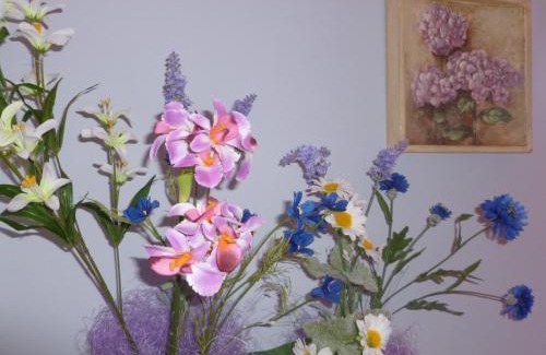 Polverigi Cama Y Desayuno | B&B Timeout