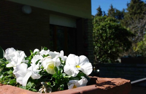 Foligno Cama Y Desayuno | B&B Tre Conigli sul Comò