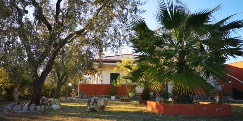 Mandrione Cama Y Desayuno | B&B Uliveto del Gargano