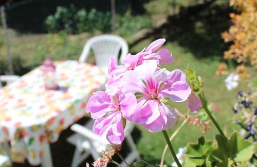 Cesate Cama Y Desayuno | B&B Via Roma