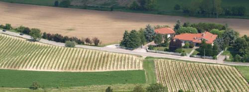 Montiglio Monferrato Cama Y Desayuno | B&B Vigneto Pardom