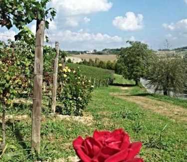 Montiglio Monferrato Cama Y Desayuno | B&B Vigneto Pardom