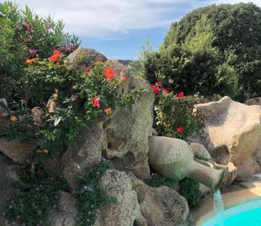 Arzachena Cama Y Desayuno | B&B Villa Aurora