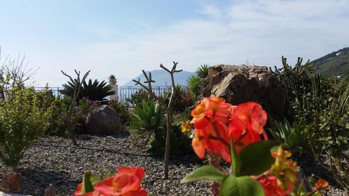 Lipari Cama Y Desayuno | B&B Villa Maristella