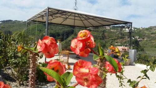 Lipari Cama Y Desayuno | B&B Villa Maristella