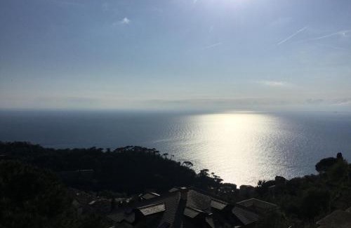 Camogli Casa | B&B Villa Orchidea
