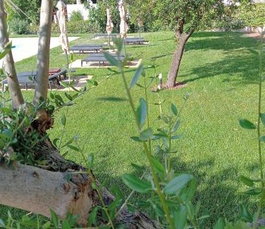 Selva di Fasano Cama Y Desayuno | B&B Villa Rosanna