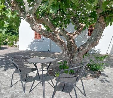 Selva di Fasano Cama Y Desayuno | B&B Villa Rosanna