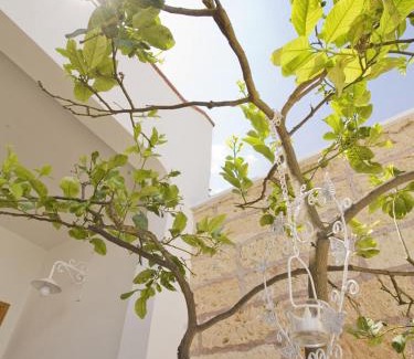Campi Salentina Cama Y Desayuno | B&B Virò