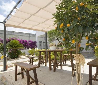 Campi Salentina Cama Y Desayuno | B&B Virò
