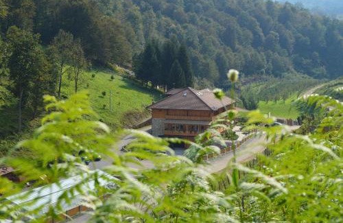 Mali Radic Cama Y Desayuno | B&B Zlatna Nit