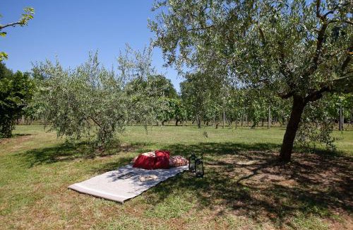 Orentano Apartamento | B&G Menconi Edera