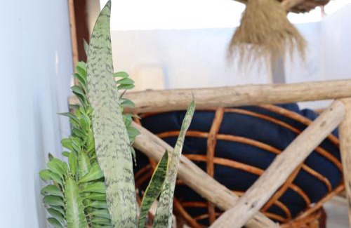 Kiwengwa Apartamento | B Home Zanzibar