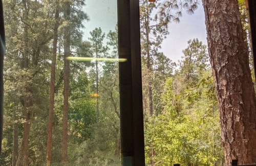 Prescott Cabina | B3 Outside Getaway Hammocking Spots Peaceful Views