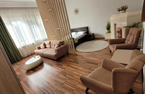 Center Apartamento | B8 - Spacious, Charming Apartment in Central Sibiu