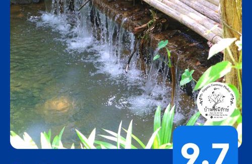 Pa Klok Casa | Baan Rai Me Rak Organic Farmstay