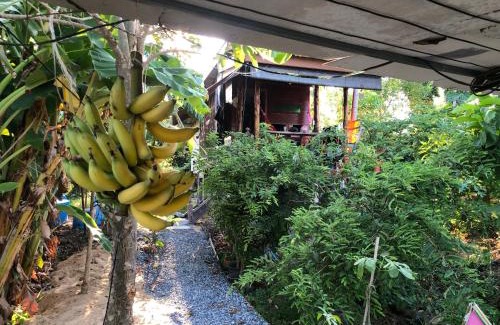 Sing Buri Casa | Baan Sudjai homestay