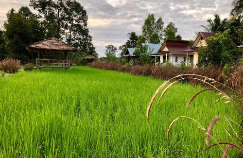 Prasat Complejo | Baan Thung Home Stay