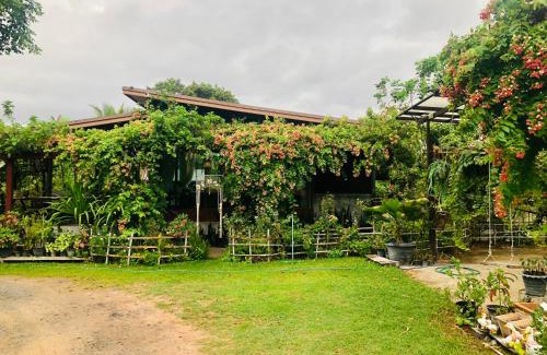 Prasat Complejo | Baan Thung Home Stay