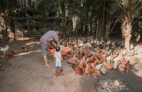 Chong Kham Casa | Baantonmai Farmstay