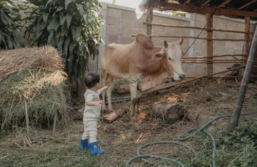 Chong Kham Casa | Baantonmai Farmstay