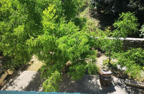 Makarska Apartamento | Babić Rituals apartments