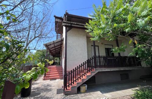 Tiszakecske Apartamento | Babits Apartman