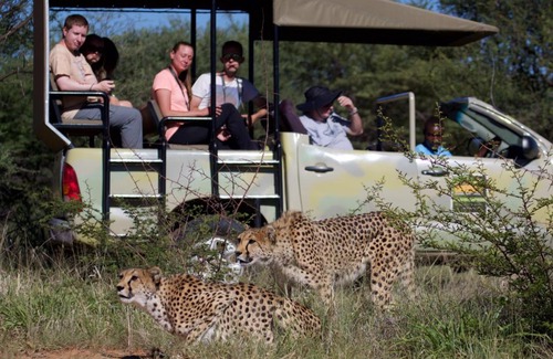 Otjozondjupa Region Casa | Babson House at Cheetah Conservation Fund