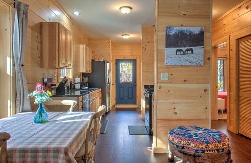 Skyland Casa | Baby Bear | Quiet Cabin on Bearwallow Mountain | Hot Tub and Near Hiking Trails