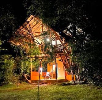 Dambulla Cabina | Back of Beyond - Wild Haven