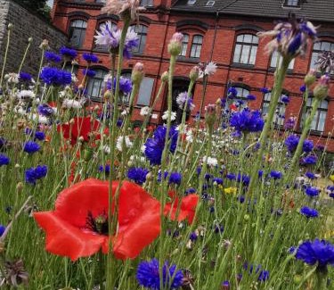 Pellenz Apartamento | back to school (rote Schule)