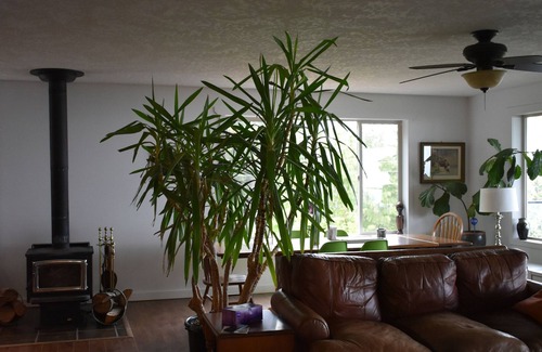 Regional District of Nanaimo Casa | Backcountry house with the best view !