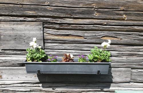 Tallberg Apartamento | Backhansgården I Plintsberg