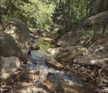 Topanga Chalet De Esquí | Backpacker's Dream with detached bathroom, private trails and creek!