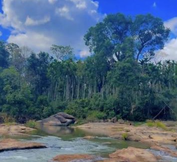 Samse Casa | Badra Jungle Retreat