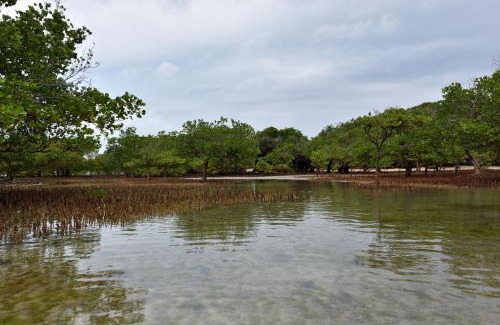 Pangani Complejo | Bahari Pori Resort
