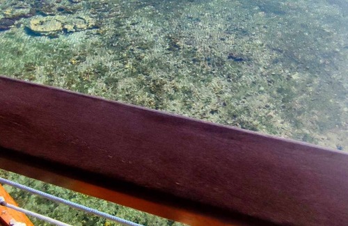 Bocas del Toro Villa | Bahia Coral Lodge - Villa EcoLodge over the water - Half board - Bocas del toro