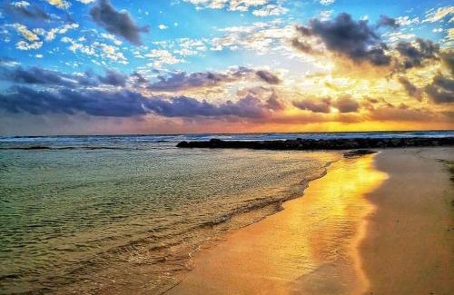 Akumal Apartamento | Bahia Principe & Golf Residences (Terrazas Condo)