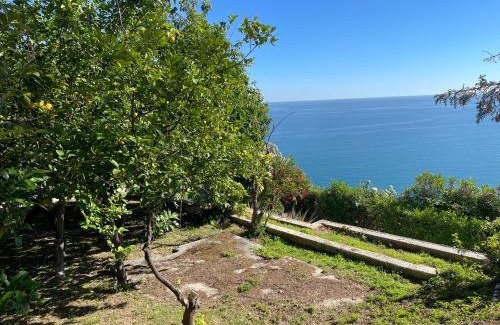 Peschici Cama Y Desayuno | Baia Scirocco Bed and Breakfast